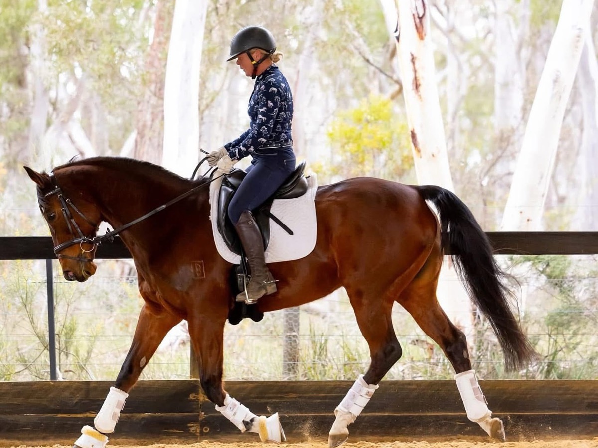 Rider schooling in the indoor arena at Calgary Park, Berrima